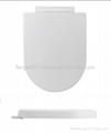 Promote plastic D shape ergonomic toilet
