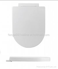 Promote plastic D shape ergonomic toilet seat for lavatory 1046