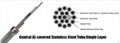 OPGW fiber optic cable from China factory Changguang Communication 4