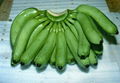 FRESH CAVENDISH BANANA FOR SELL 4