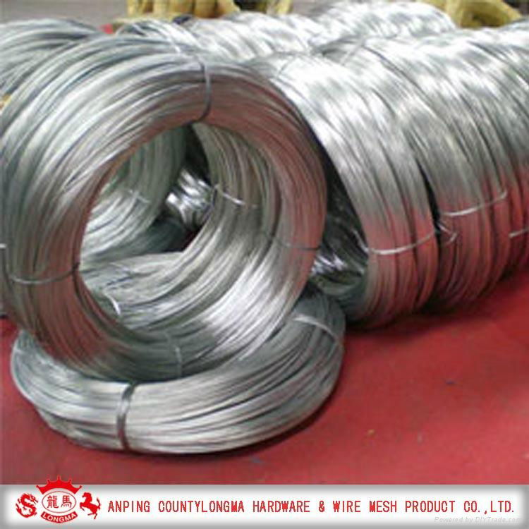 Galvanized iron wire 2
