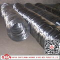 Galvanized iron wire