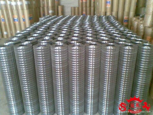 galvanized weled wire mesh 5