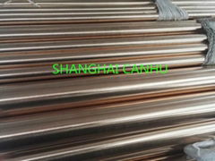 Beryllium Copper Alloy rod 