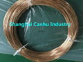 C17200 Beryllium Copper Alloy 