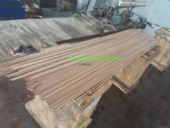 C17300  Leaded Beryllium Copper Alloy 