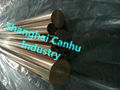 C17510 Nickel Beryllium Copper Alloy 