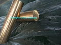 C17510 Nickel Beryllium Copper Alloy  3