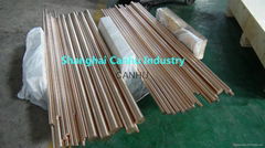 CuBe2 Beryllium Copper Alloy 