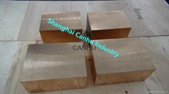 CW101C Beryllium Copper Alloy 