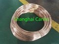 CW101C Beryllium Copper Alloy 