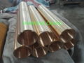 DIN 2.1247 Beryllium Copper  4