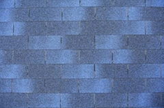 Asphalt Shingle 