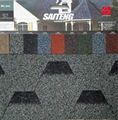 Mosaic Asphalt Shingles 5