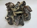 DRIED BLACK FUNGUS MUSHROOM FROM VIET NAM 4