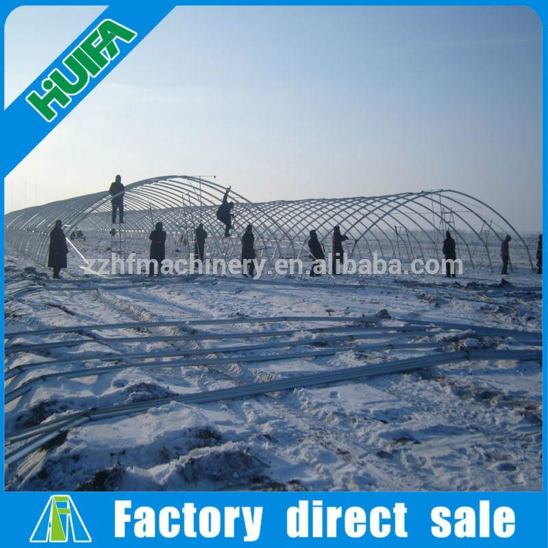 Single-span Greenhouse Farming Equipment for Sale