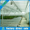 Multi-span Greenhouse Fittings for Agriculture 4