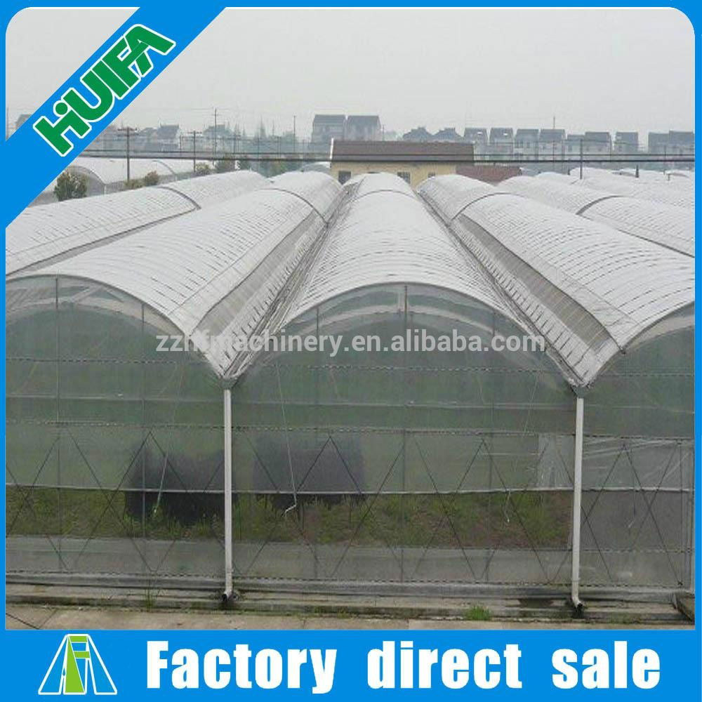 High Popular Vegetable Tunnel Agricultural Greenhouse 2