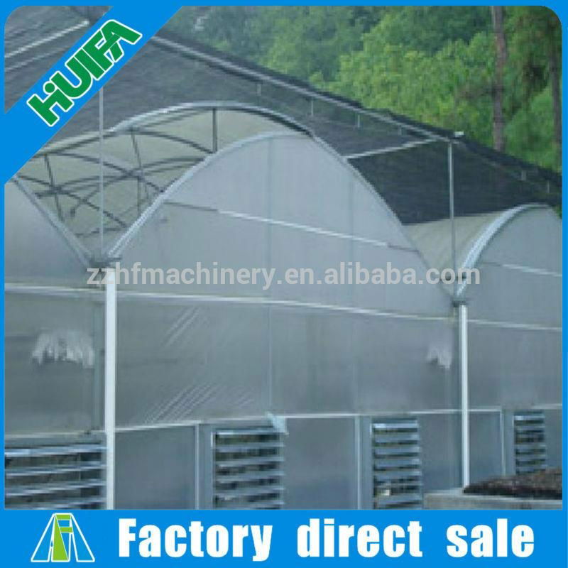 High Popular Vegetable Tunnel Agricultural Greenhouse 4