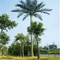 artificial outdoor palm trees telecom tower