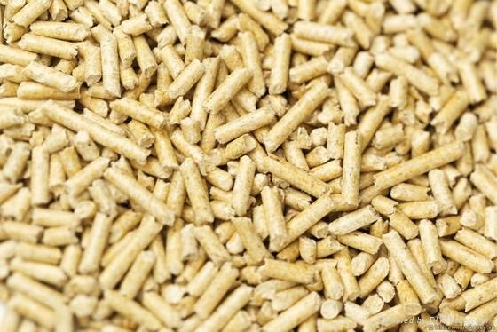best quality wood pellet for sale in Thailand