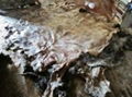 Wet Salted Donkey Hides and Wet Salted Cow Hides 1