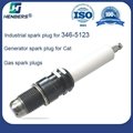 For cat spark plug R6GC1-77 Industrial spark plug for 346-5123 3