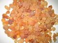 Gum Arabic 2