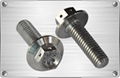 Titanium hex flange bolt for tube fitting or pipes 