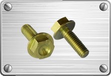 Titanium hex flange bolt for pipe fitting 