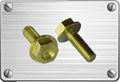 Titanium hex flange bolt for pipe