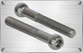 Titanium spherical socket bolt for chemical pipe fitting or motorcycles  1