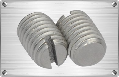 Titanium slotted set screw for chemical industries or  motorcycles fitting 