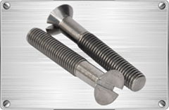 Titanium Countersunk Head Slotted Screw