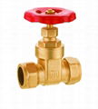 Brass Gate Valve with Compression 1