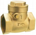 Forged Non Return Brass Check Valve