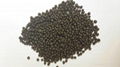 Diammonium Phosphate DAP fertilizer 2