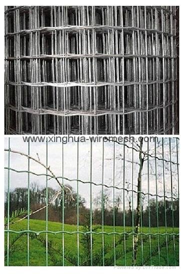 holland wire mesh factory(professional manufacturer,best price and good quality) 3