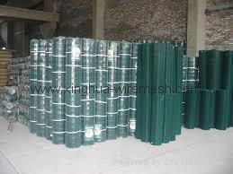 China manufacturer welded wire mesh 3