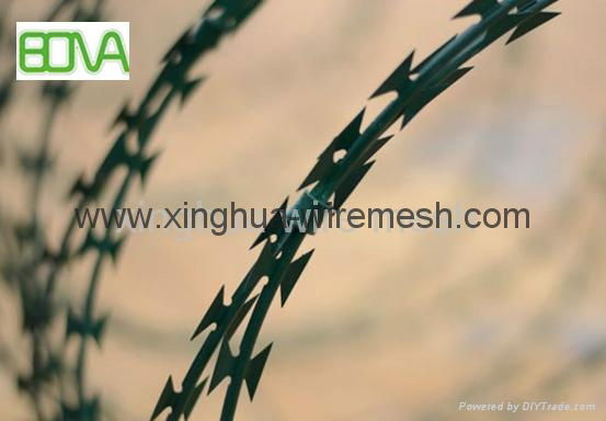 Hight Security Razor Barbed Wire/razor barbed wire 4