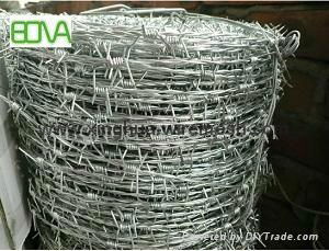 Hight Security Razor Barbed Wire/razor barbed wire 3