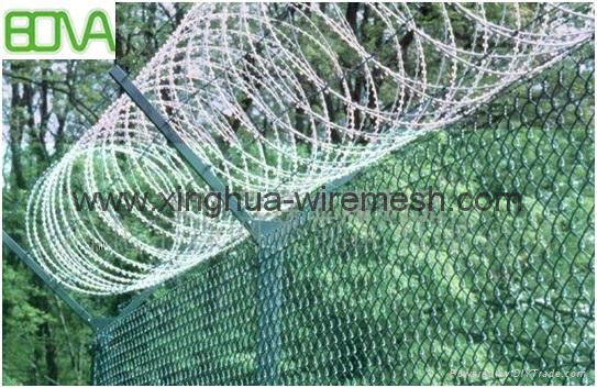 Hight Security Razor Barbed Wire/razor barbed wire 5