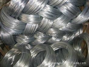 Galvanized Metal Wire with Lower Price 2