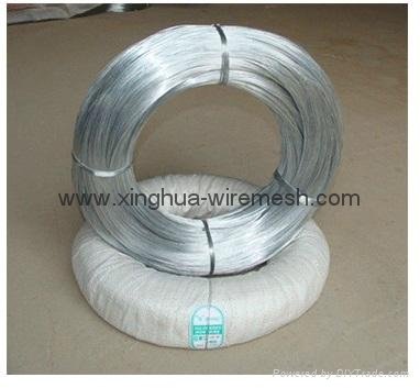 Galvanized Metal Wire with Lower Price