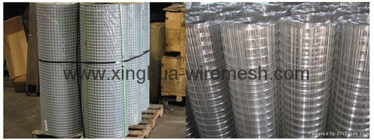 China manufacturer welded wire mesh 4