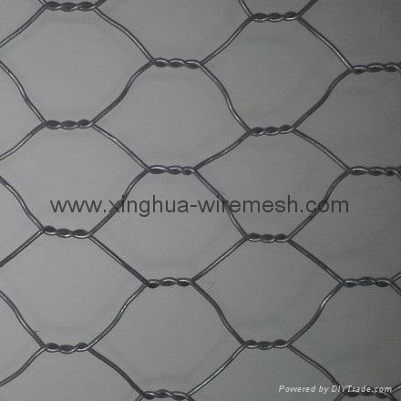 Professional Manufacturer all kind specification Gabion Box 2