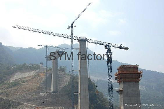 tower crane R6013