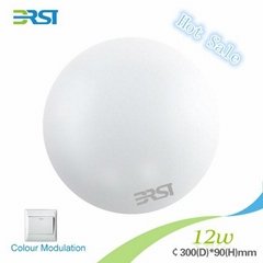 LED surface mounted ceiling light
