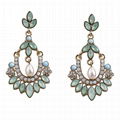 Fashion Large Acrylic Stone Earring