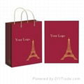 custom color shopping bags printing 4